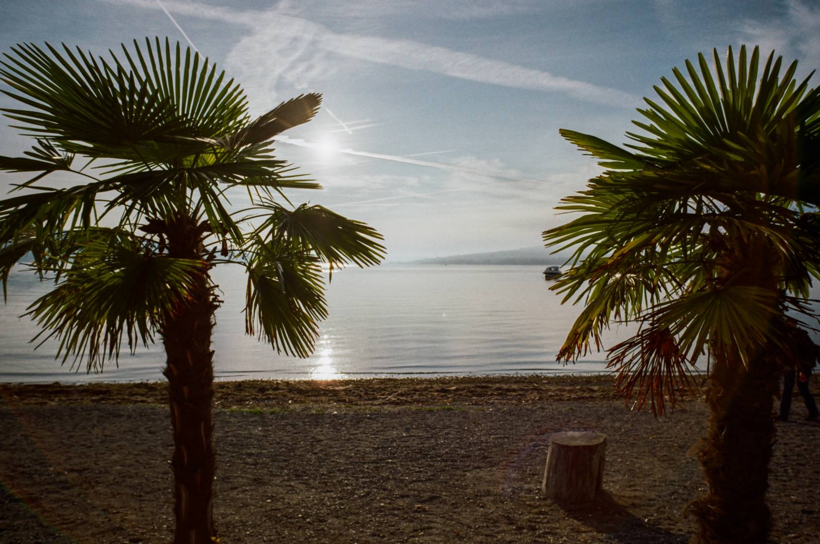 Lake Constance. No kidding, this is the western tip of the Island of Reichenau. Good performance in this backlit situation. BessaR4M, Voigtländer Color-Skopar 21/4.0. Kodak ProImage100.