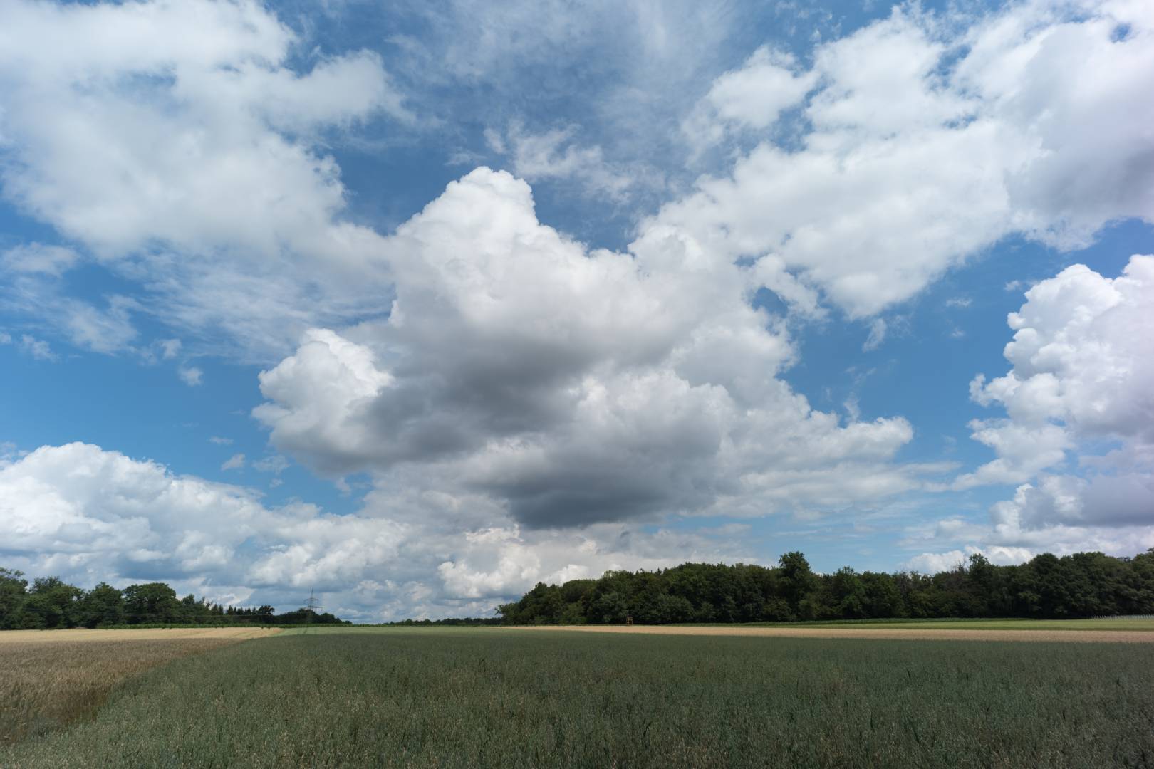 Near Reutlingen, South Germany. The most interesting parts of the image are the margins, especially the right one. Heavy purple fringing. Voigtländer Color Skopar 21/4.0 on Leica M10. The effect is even more prominent when you use a 240 or 262.
