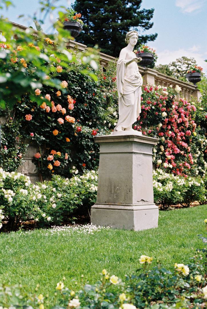 The island of Mainau is probably the most famous botanical garden and arboretum in South Germany. When not closed due to Covid-19, a must for tourists travelling around Lake Constance. Kodak Gold 200.