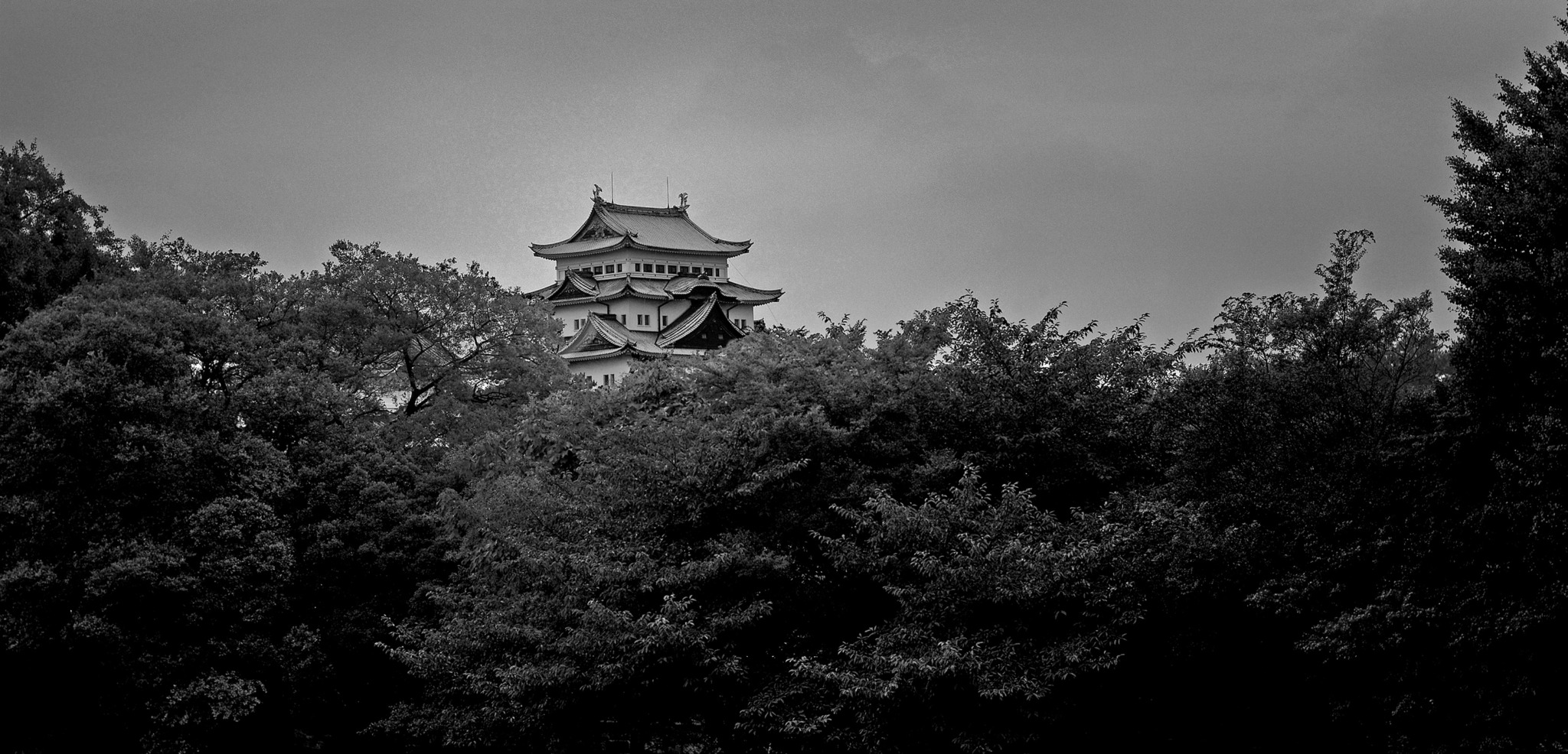 Medieval castle in Nagoya  -  Leica M8, 50mm Summicron