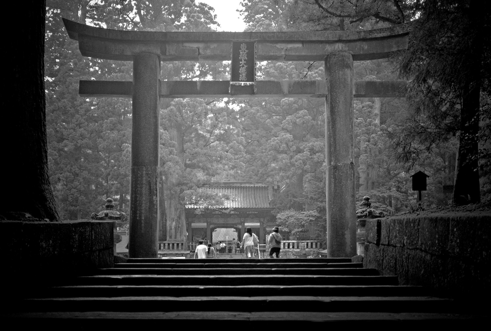 The Torii or entrance arch to the Nikko Tosho-gu shrine  -  Leica M8, 28 mm Voigtländer