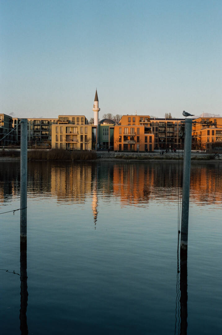 The Planar design is famous for being virtually distortion free. Kodak Portra 160