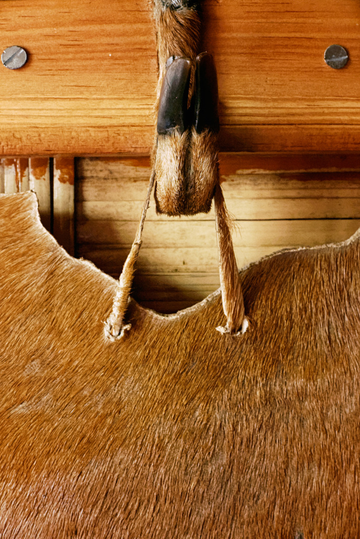 An antelope hide on a wall in Bamin village, a remnant from the old hunting days