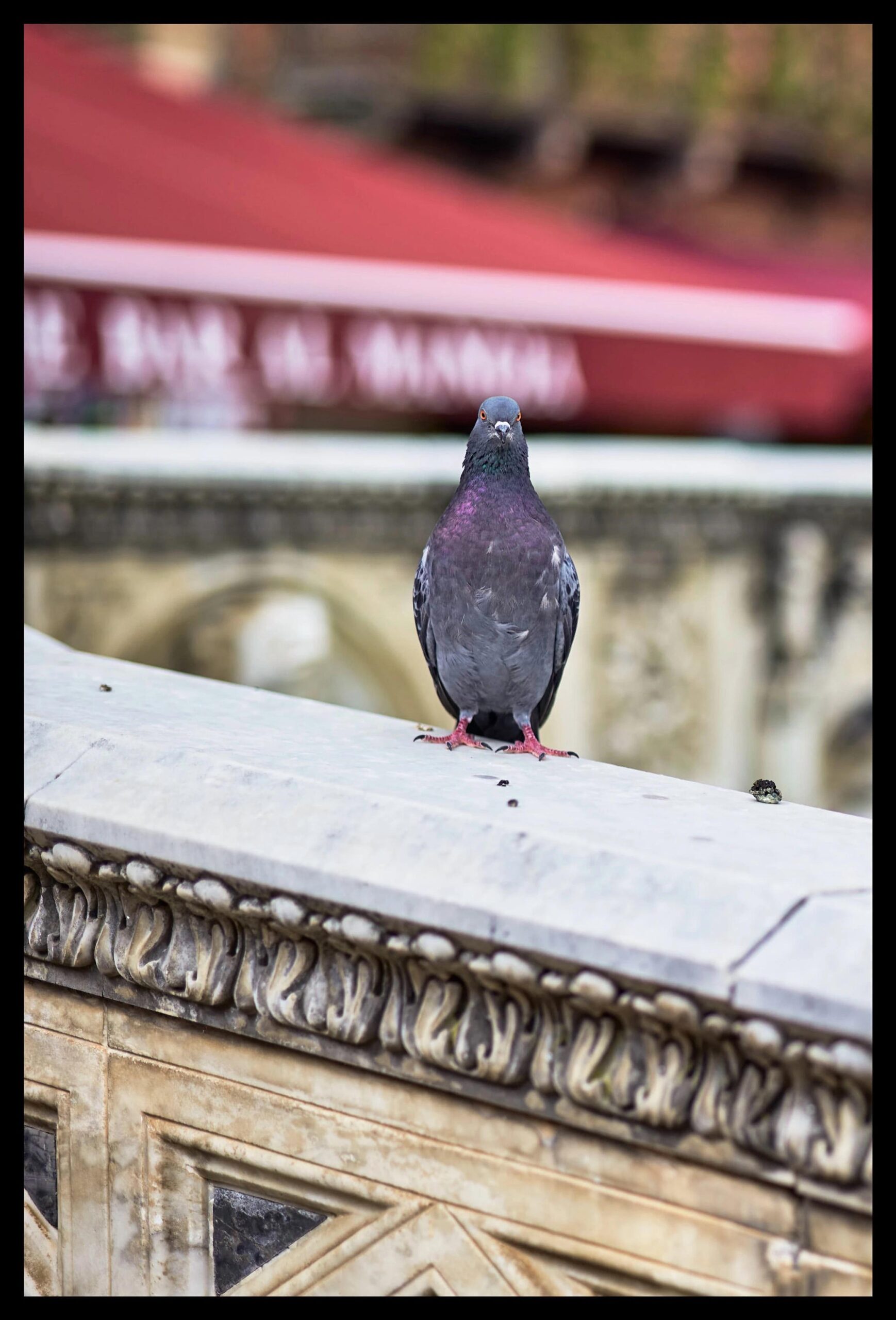 A sceptical look towards the author's camera gear decision making journey [Leica M10 - Voigtlander 75mm Nokton]