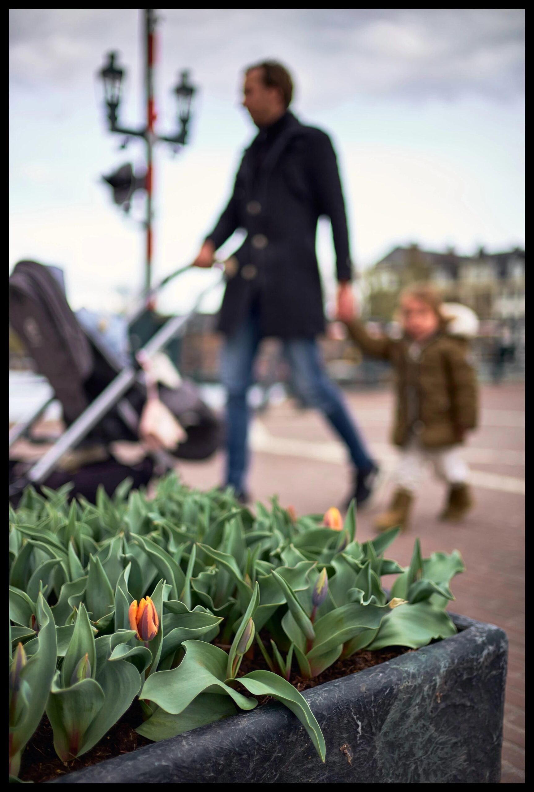 Bloom [Leica M10 - Leica 35mm Summilux]
