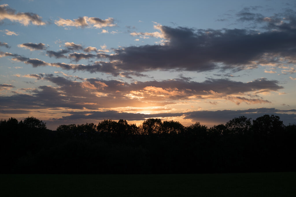 Image taken with Carl Zeiss branded Contax Planar 45/2 converted from Contax G to M Mount