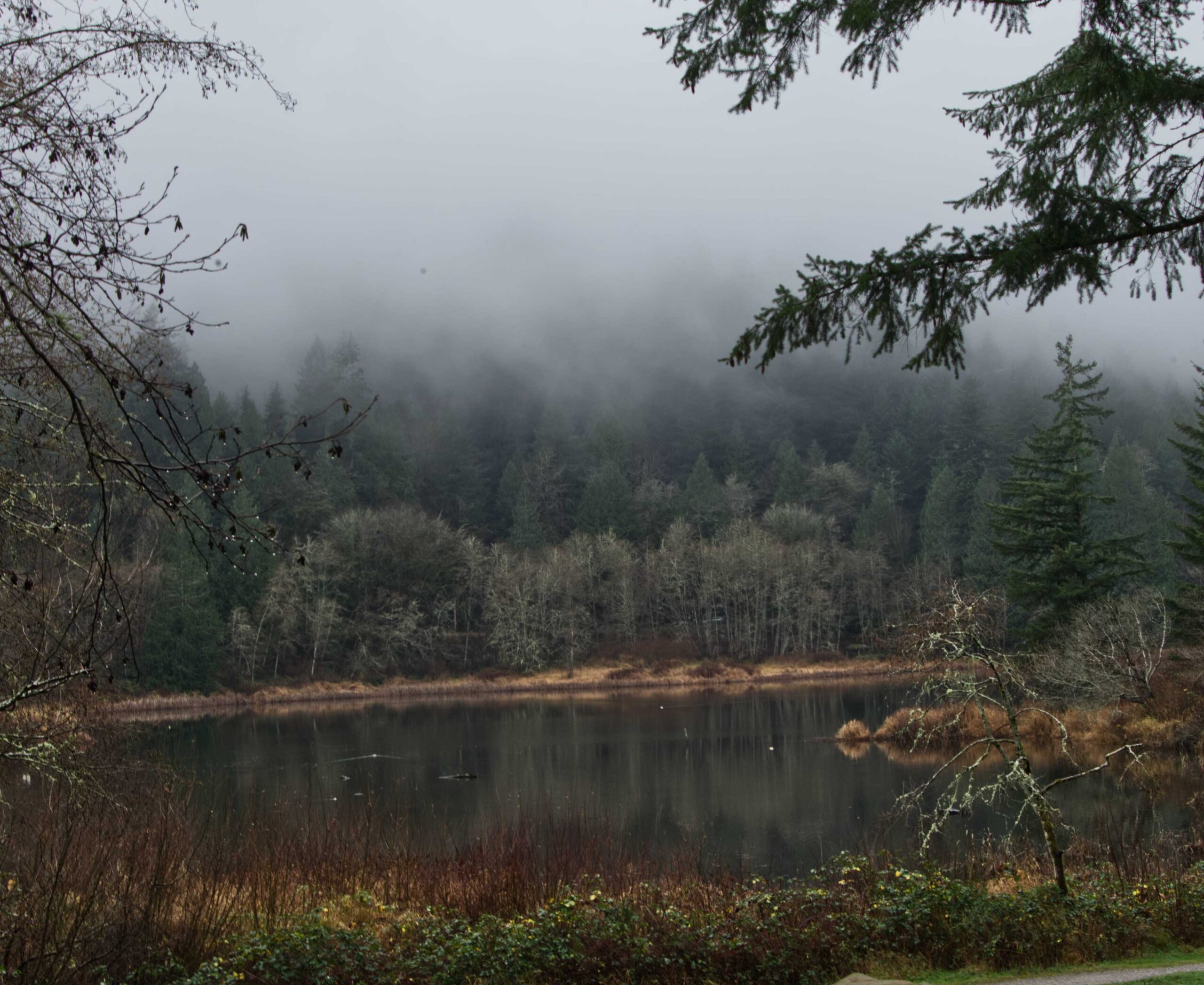 Morning fog. Lake Louise, WA
