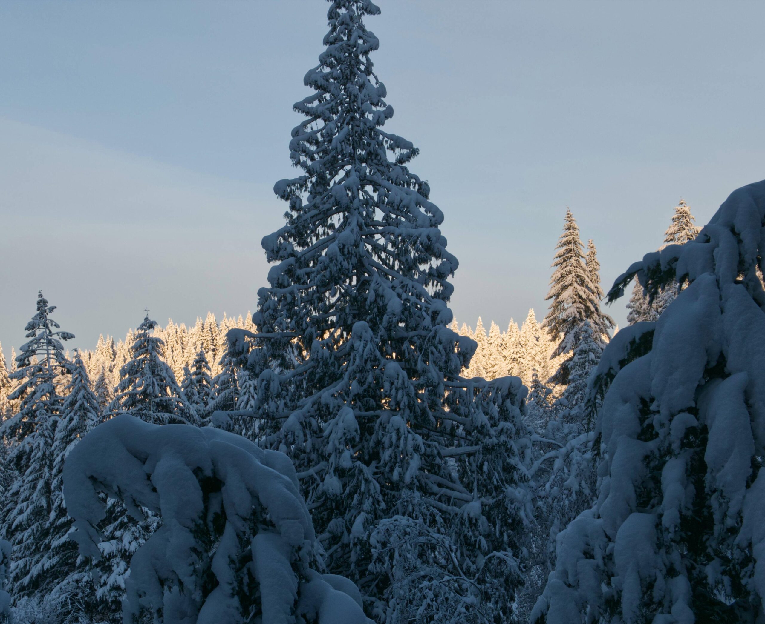 Balcony, winter sunrise over Lake Louise, WA