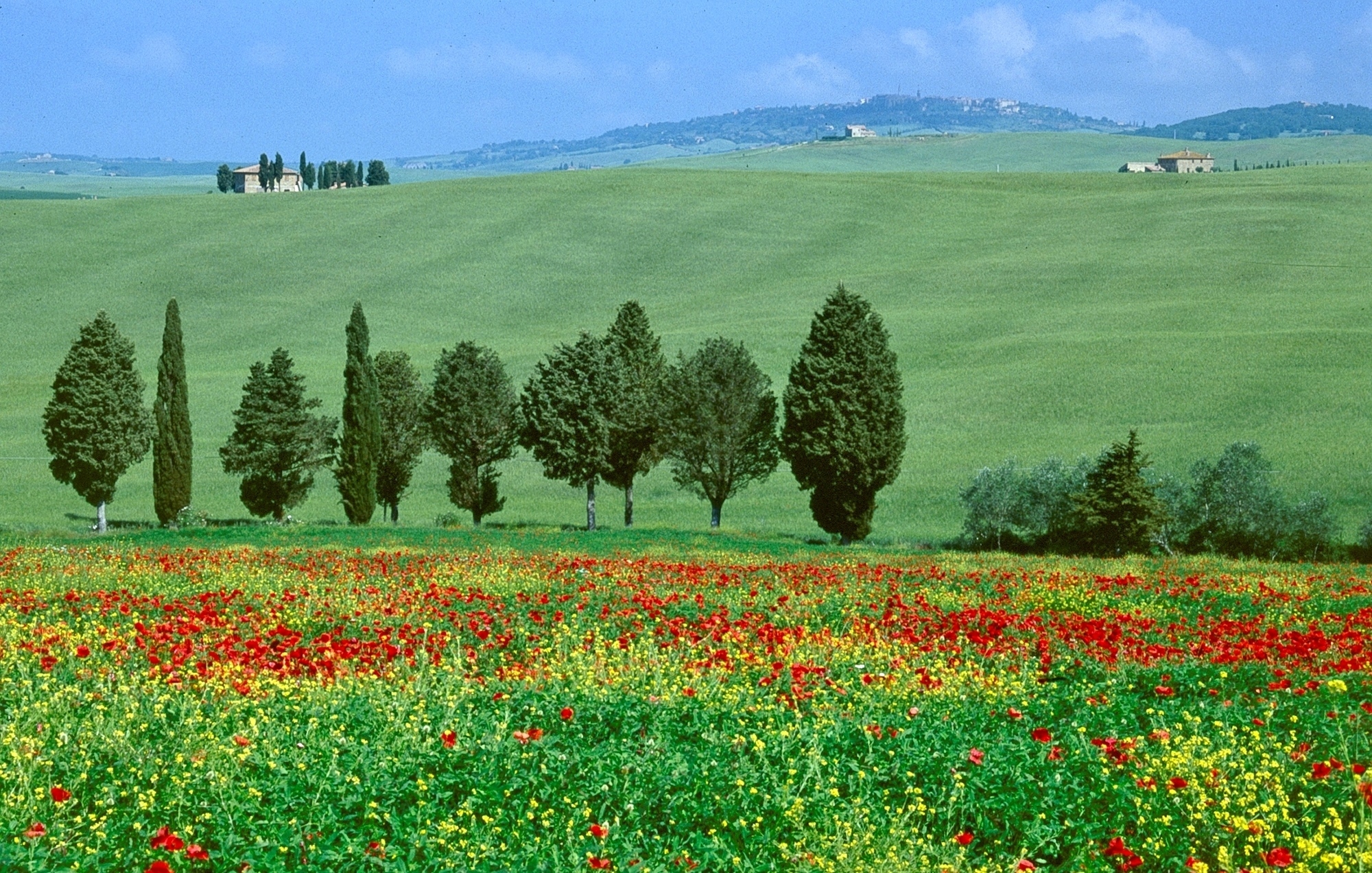 Val D’Orcia, Tuscany