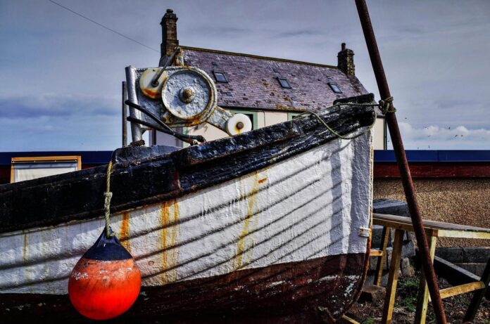 image-10_optimized1-1