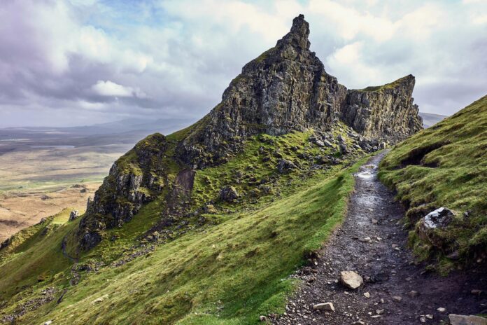 L1002814-X4_optimized