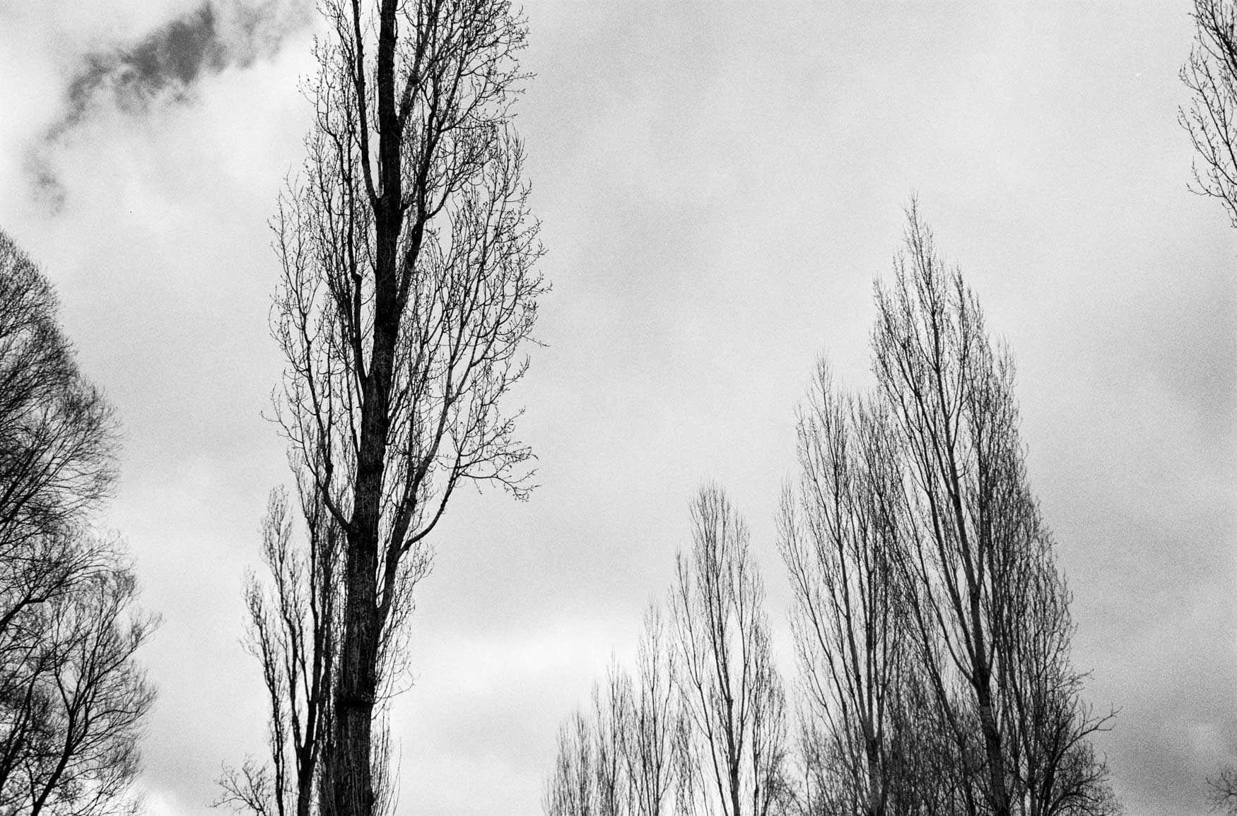 Voigtländer Bessa R3M Voigtländer Heliar 40/2.8 review