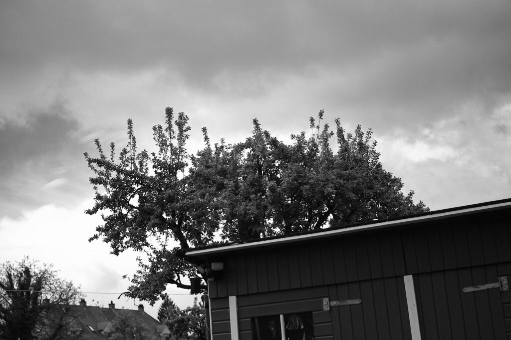 Sample image taken with Epson R-D1 digital rangefinder camera