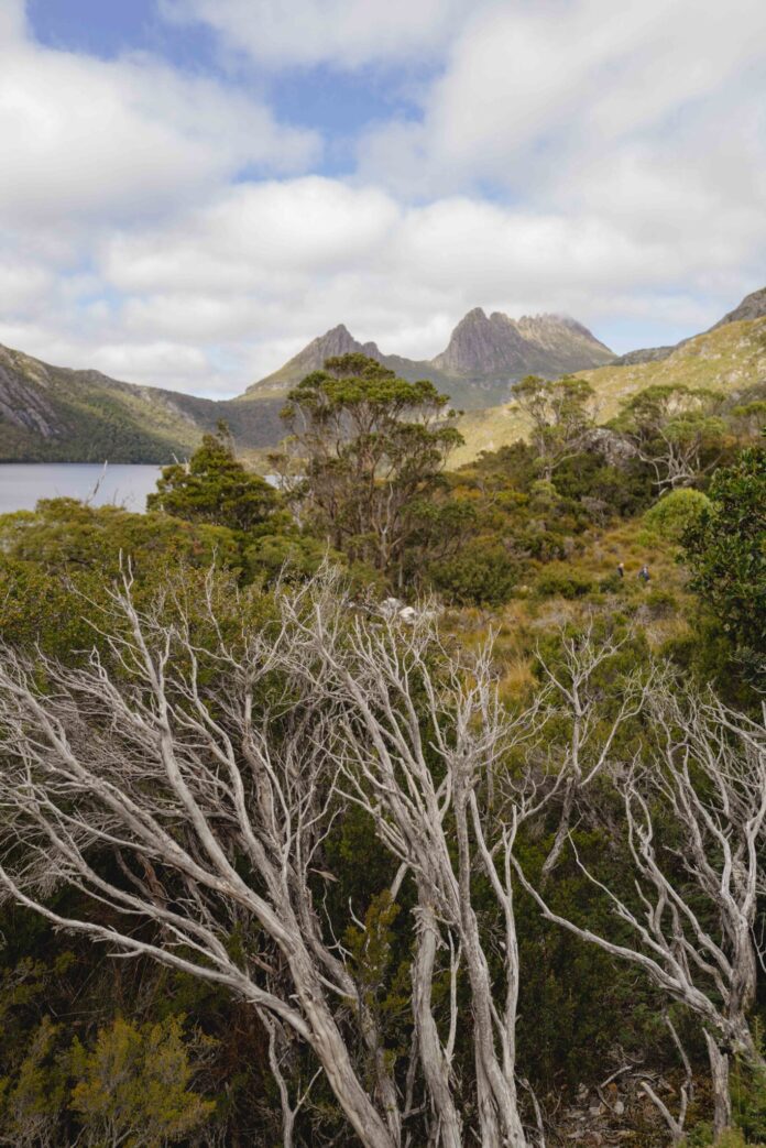 Cradle Mountain-2