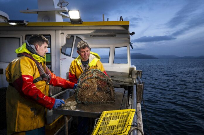 Andrew-Tobin-Macfilos-007_optimized