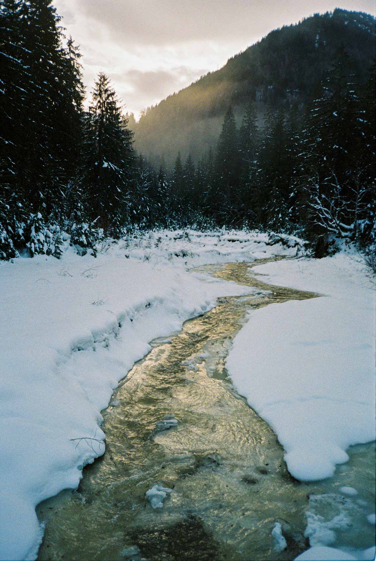 Sample image, shot with the Rollei 35AF film camera (launched 2024)