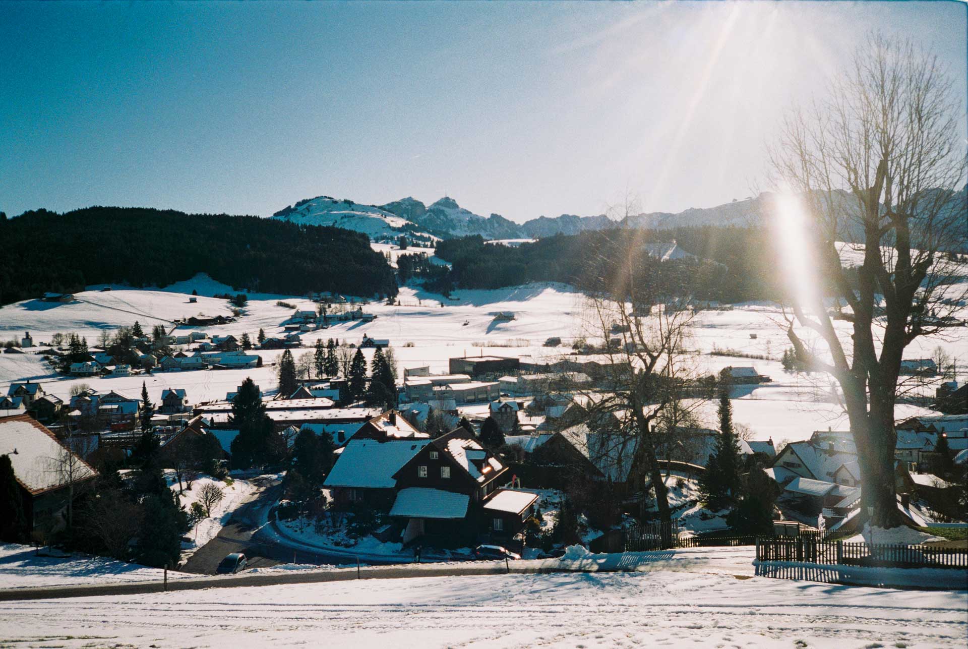 Sample image, shot with the Rollei 35AF film camera (launched 2024)