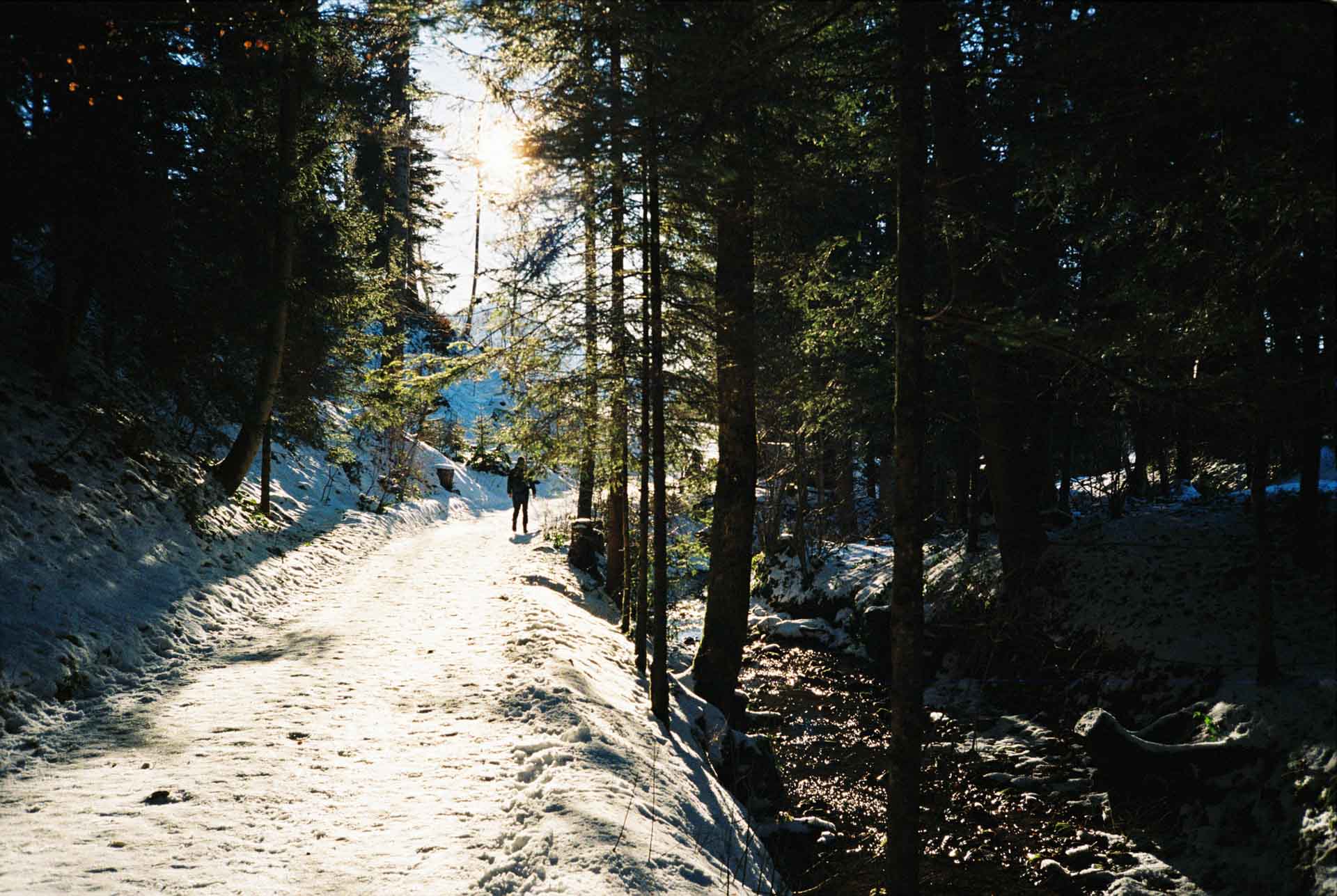Sample image, shot with the Rollei 35AF film camera (launched 2024)