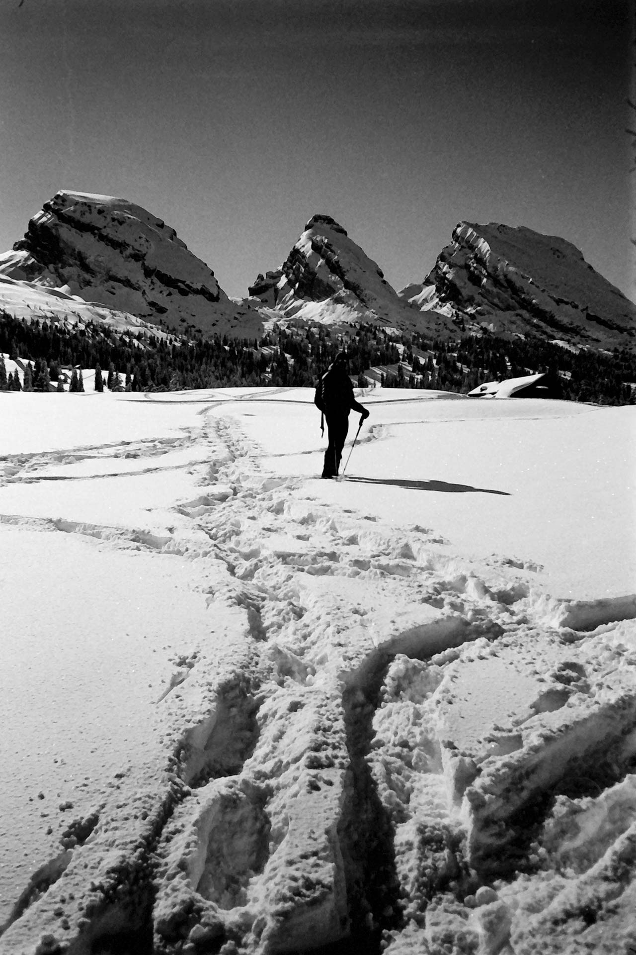 Sample image, shot with the Rollei 35AF film camera (launched 2024)