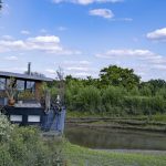 Focusing M lenses with electronic viewfinder EVF