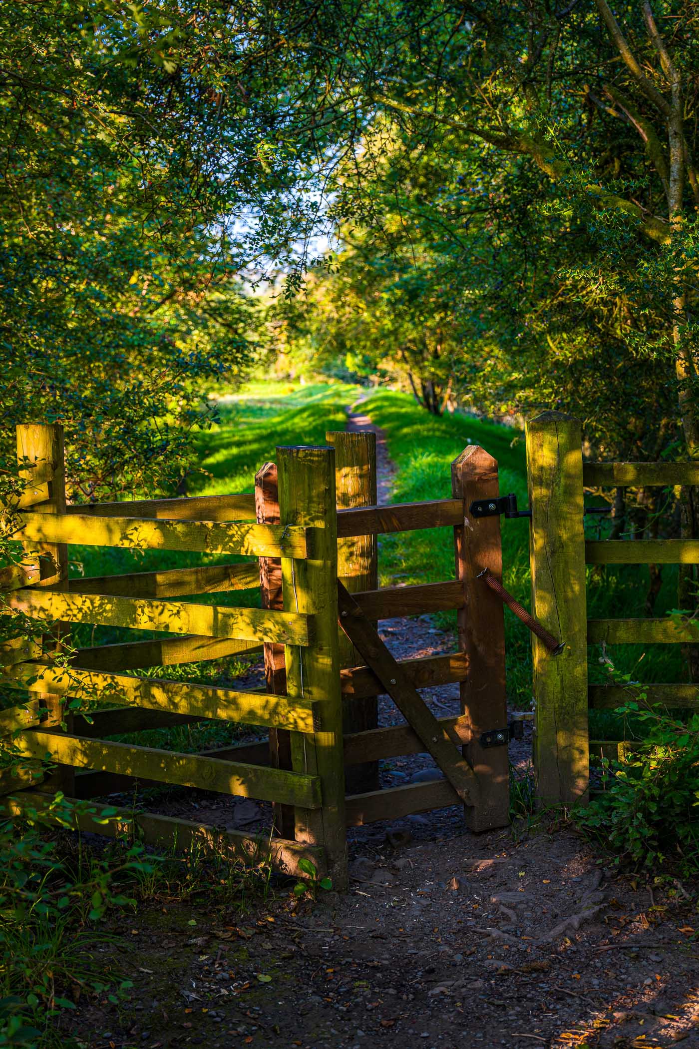 A wooden gate opens onto a lush, green path surrounded by trees, illuminated by soft sunlight.