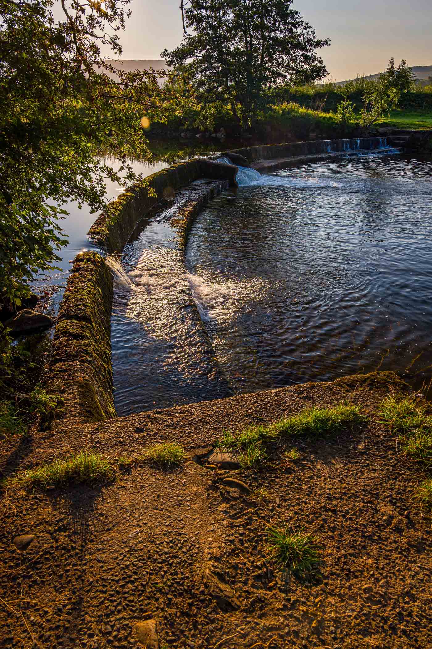 A peaceful scene of a water channel with a gentle flow over a curved stone weir, surrounded by green trees and grass under a warm, golden sunlight.