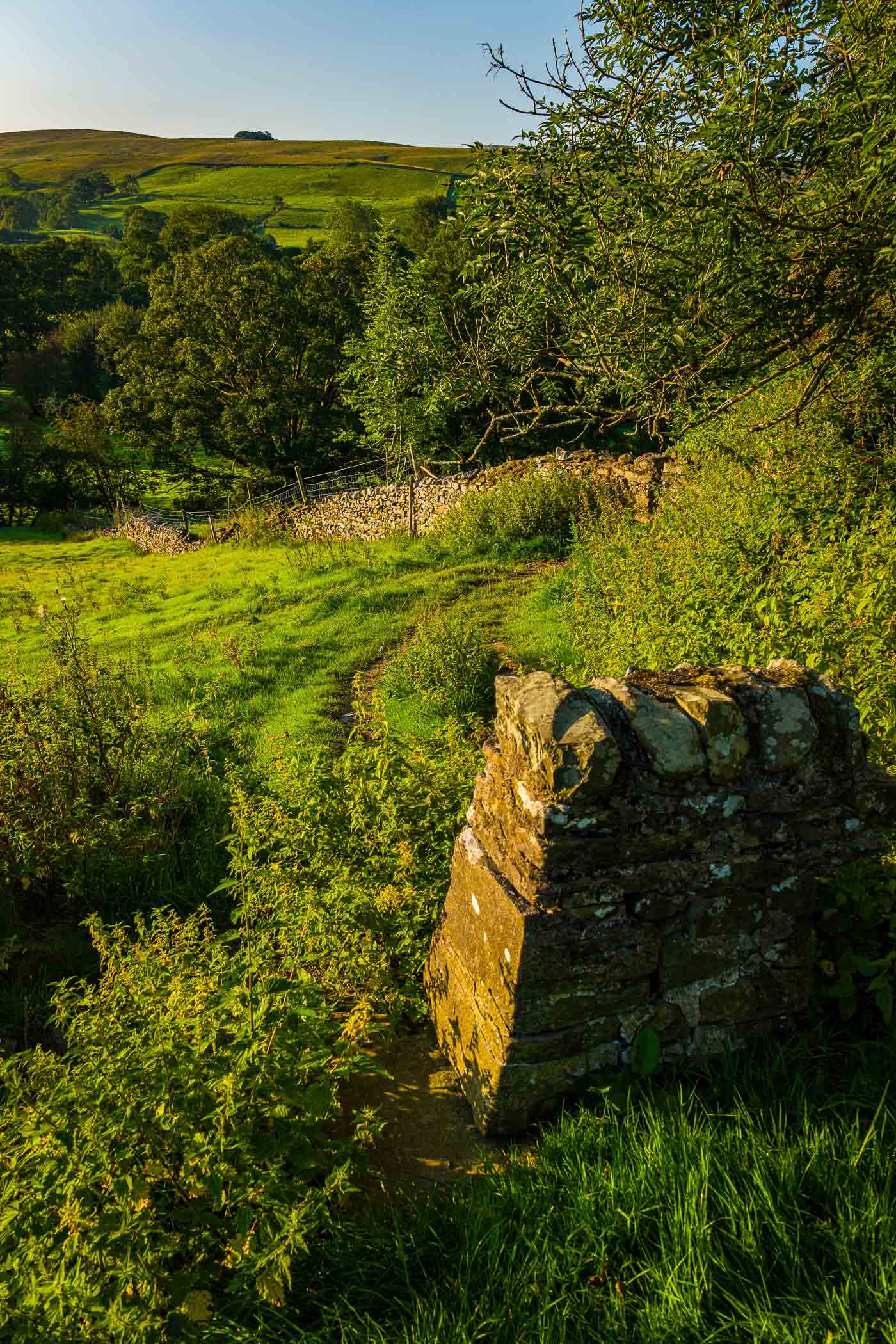 A scenic pathway leads through lush green fields in the Yorkshire Dales, with stone walls and trees framing the landscape under clear blue skies.