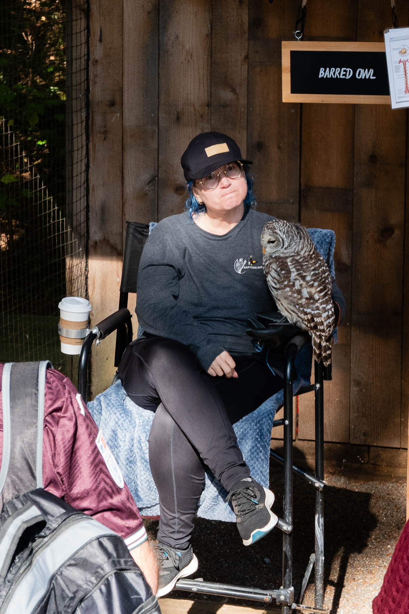 A person sitting on a chair with a Barred Owl perched on their knee, in front of a wooden backdrop with a sign labeled 'Barred Owl'. The individual is wearing a black cap and glasses, looking contemplative.