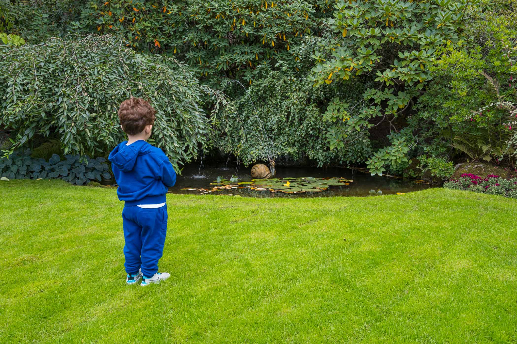 A young child in a blue tracksuit stands on green grass, gazing at a small pond surrounded by lush foliage.