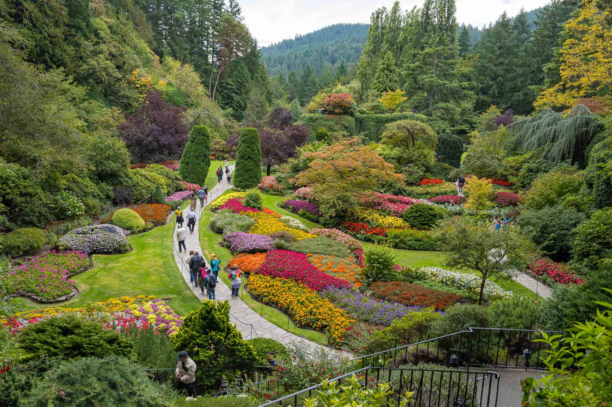 A vibrant garden filled with a variety of colorful flowers, surrounded by lush greenery, with visitors walking along curved pathways.