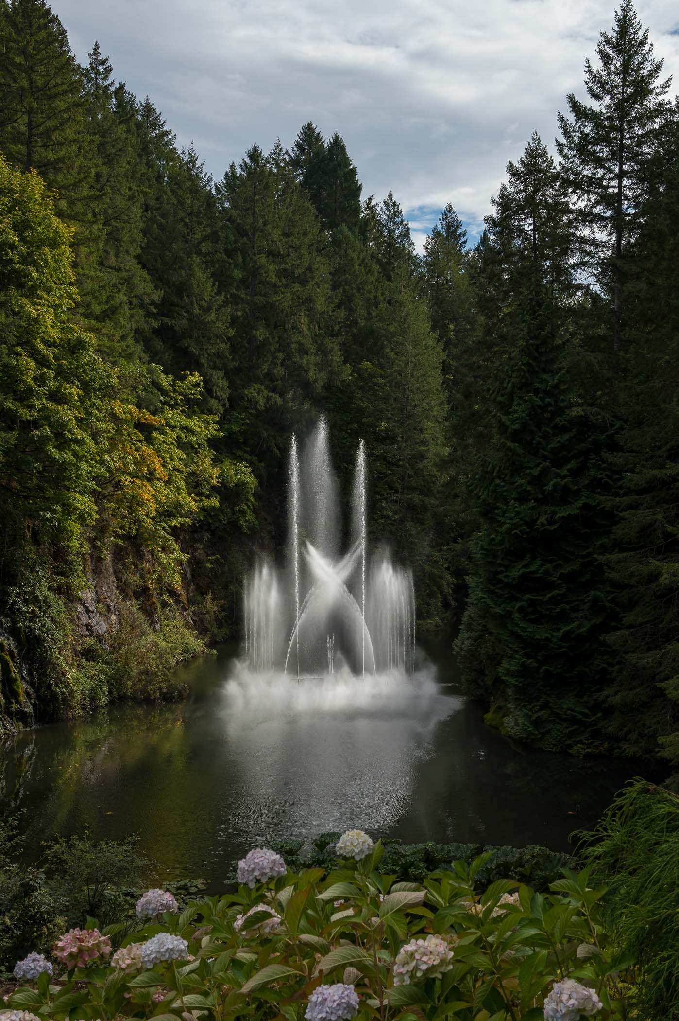 A scenic view of a fountain spraying water high into the air, surrounded by lush green trees in a tranquil setting.