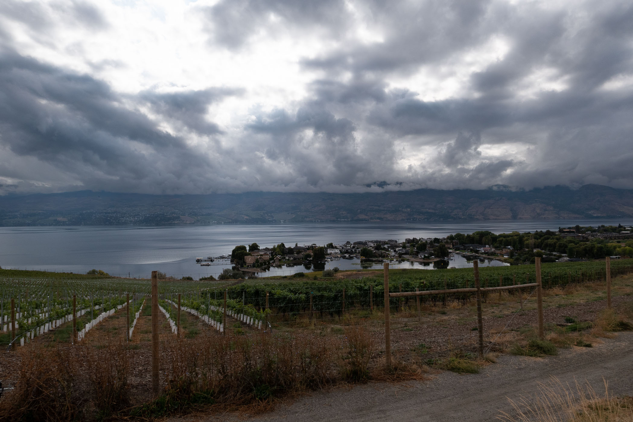 A panoramic view of Okanagan Lake in British Columbia, with vineyards in the foreground and cloudy skies above. The landscape includes a small lakeside village nestled along the shoreline.