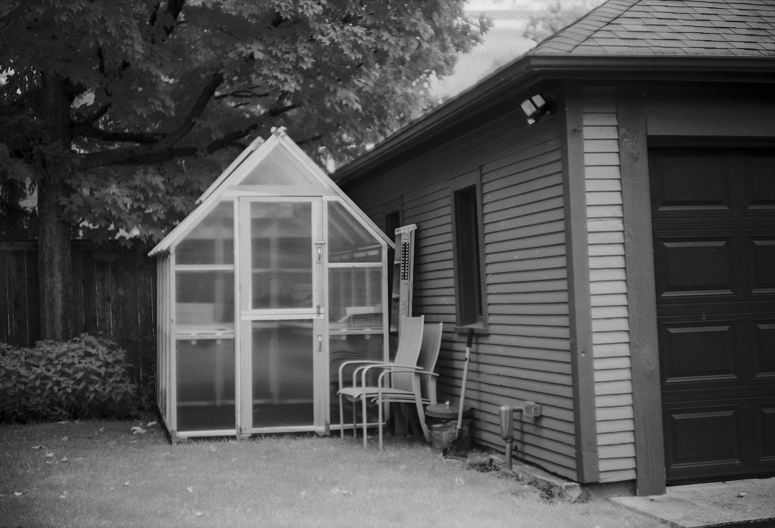 A black and white photograph featuring a greenhouse beside a residential garage, with chairs leaning against the wall and foliage in the background.