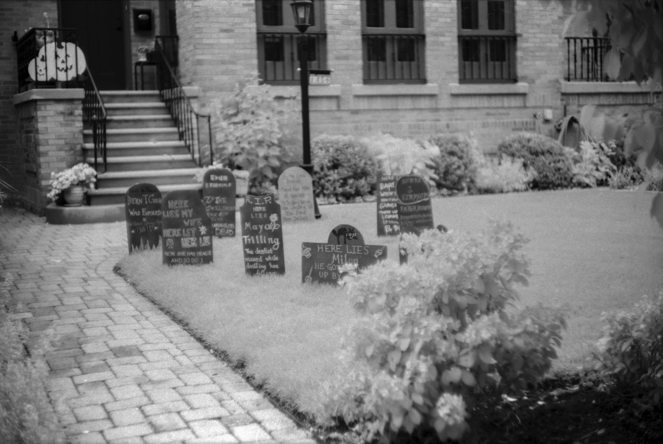 A wide shot of a suburban lawn featuring humorous gravestones and seasonal decorations, with a brick facade of a house in the background.