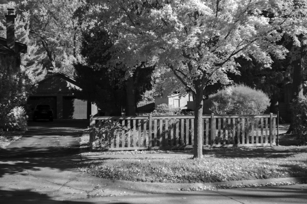 Black and white photograph of a residential area featuring a tree and a wooden fence, with a driveway visible in the background.