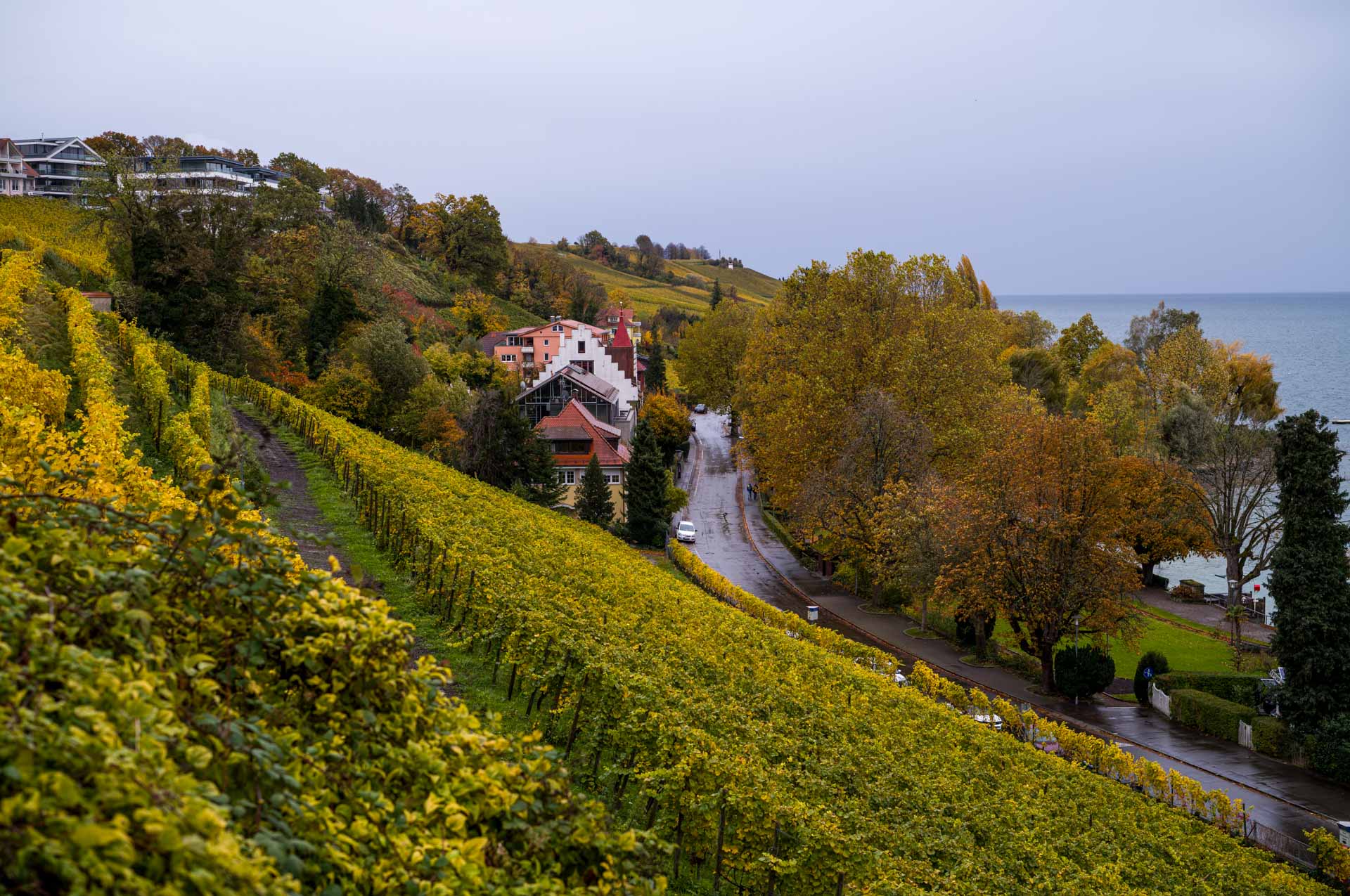 Sample image, taken during Leica M EV1 hands-on