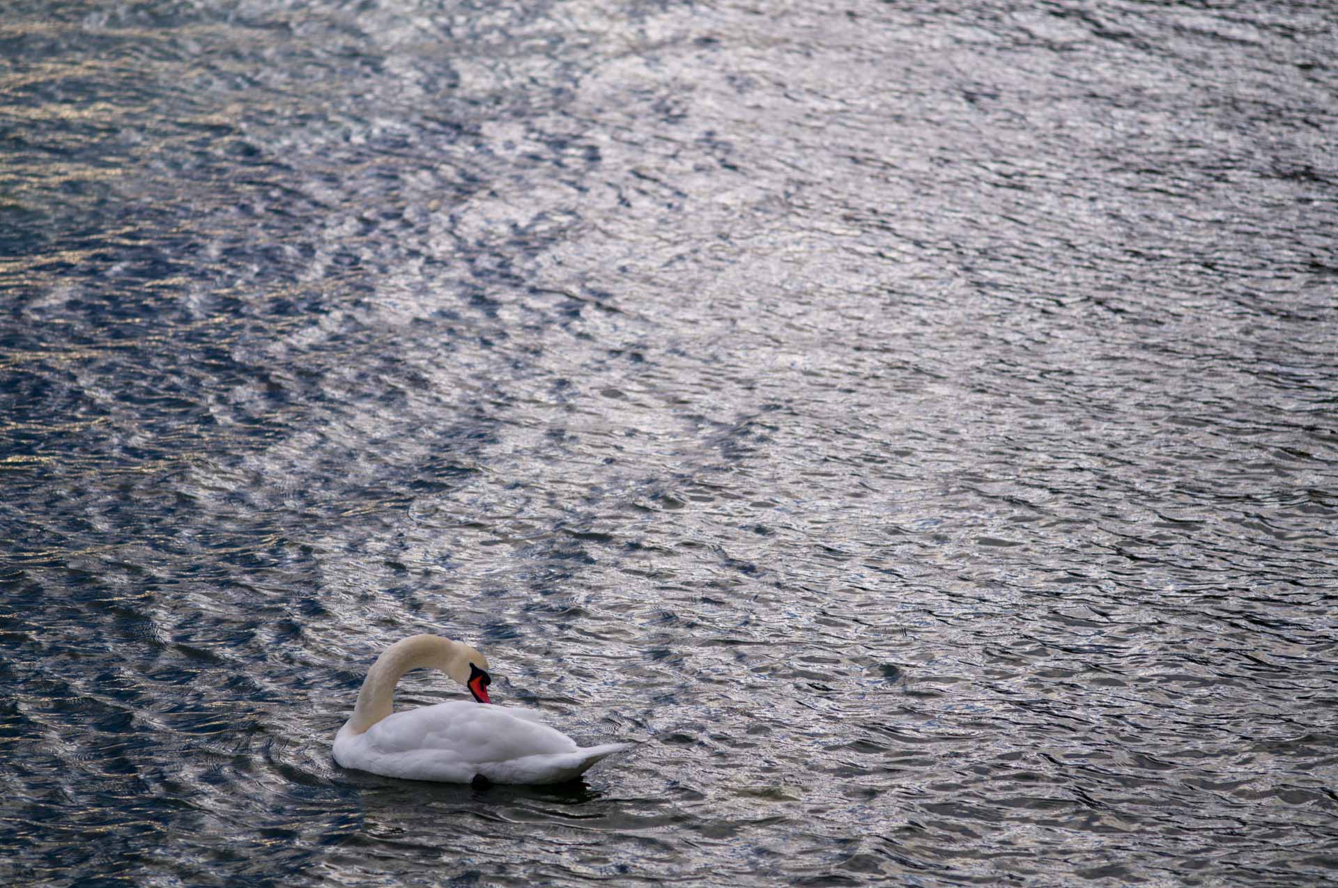 Sample image, taken during Leica M EV1 hands-on