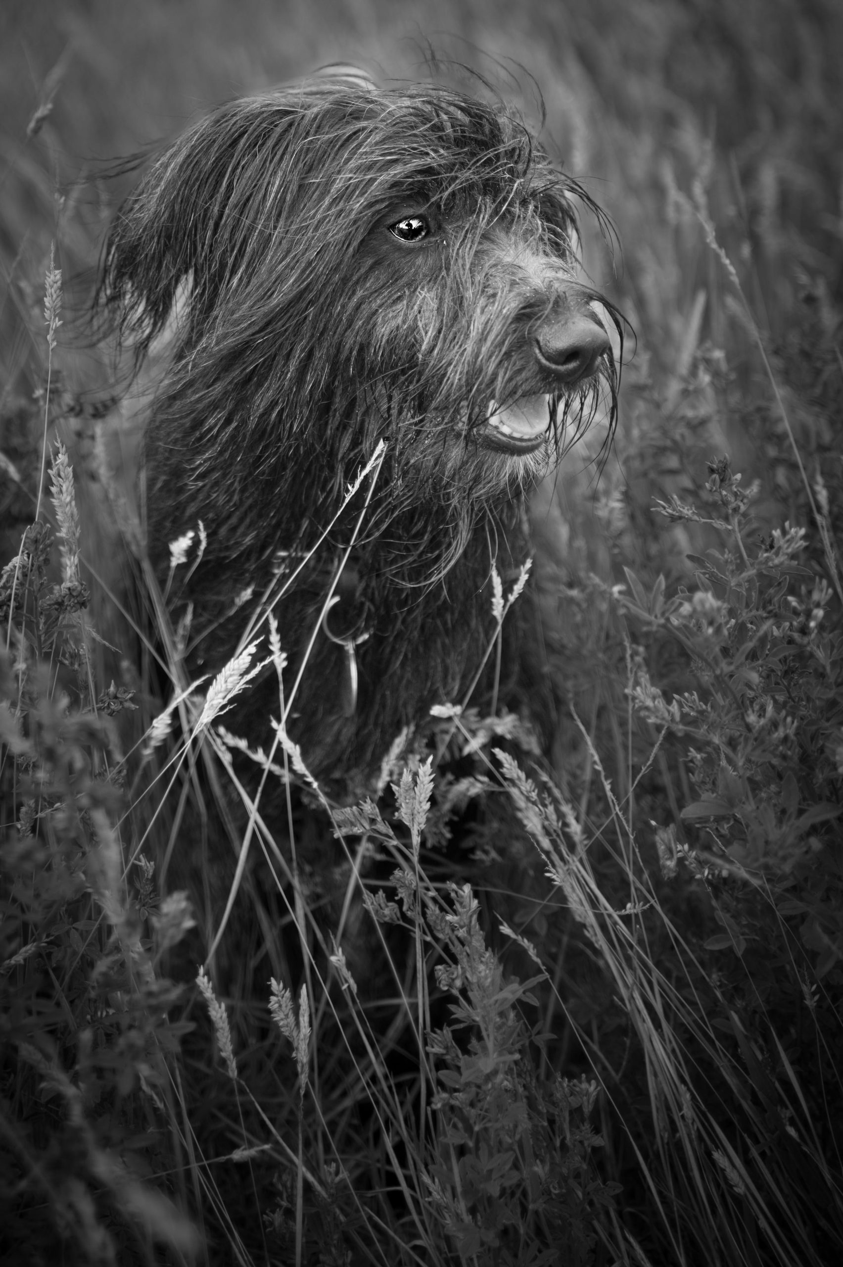 Jonathan Slack Leica Q3 Monochrom review