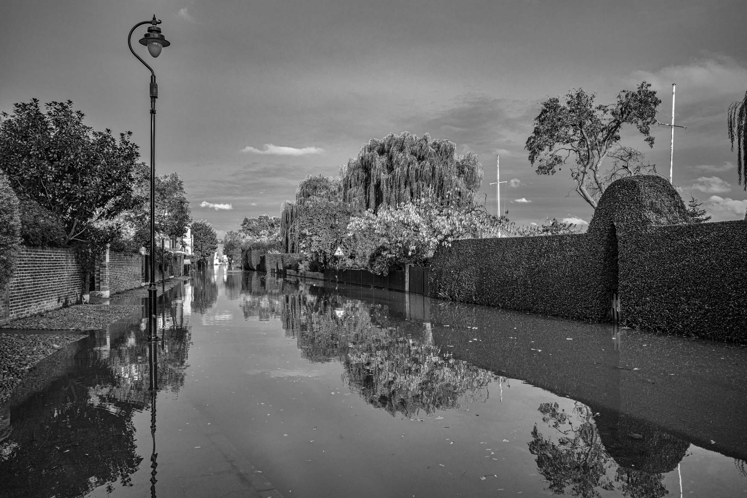 A black and white image of a flooded street lined with trees and hedges, reflecting the landscape in still water. A lamp post is visible on the left side.