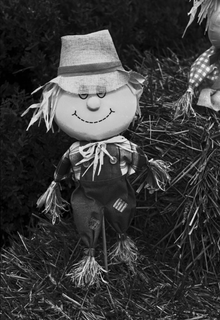 A black and white photograph of a smiling scarecrow with a straw hat, dressed in blue overalls and a checkered shirt, standing on a bale of hay.