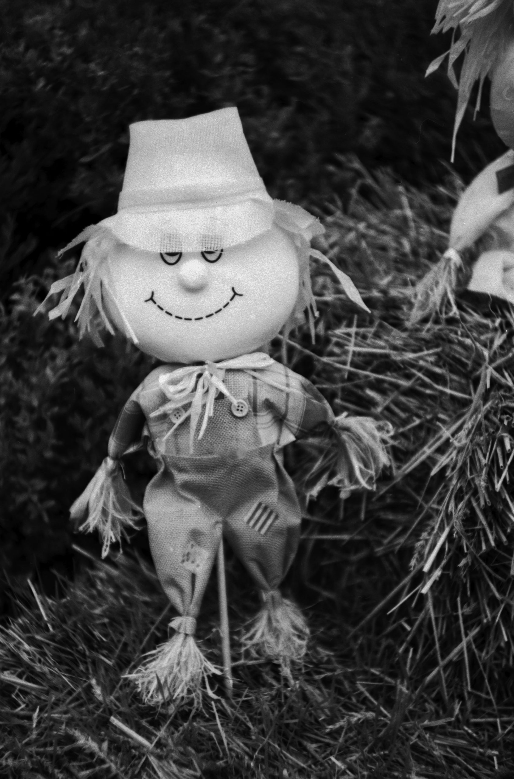 A black-and-white photograph of a smiling scarecrow doll dressed in overalls with patches, standing on straw.