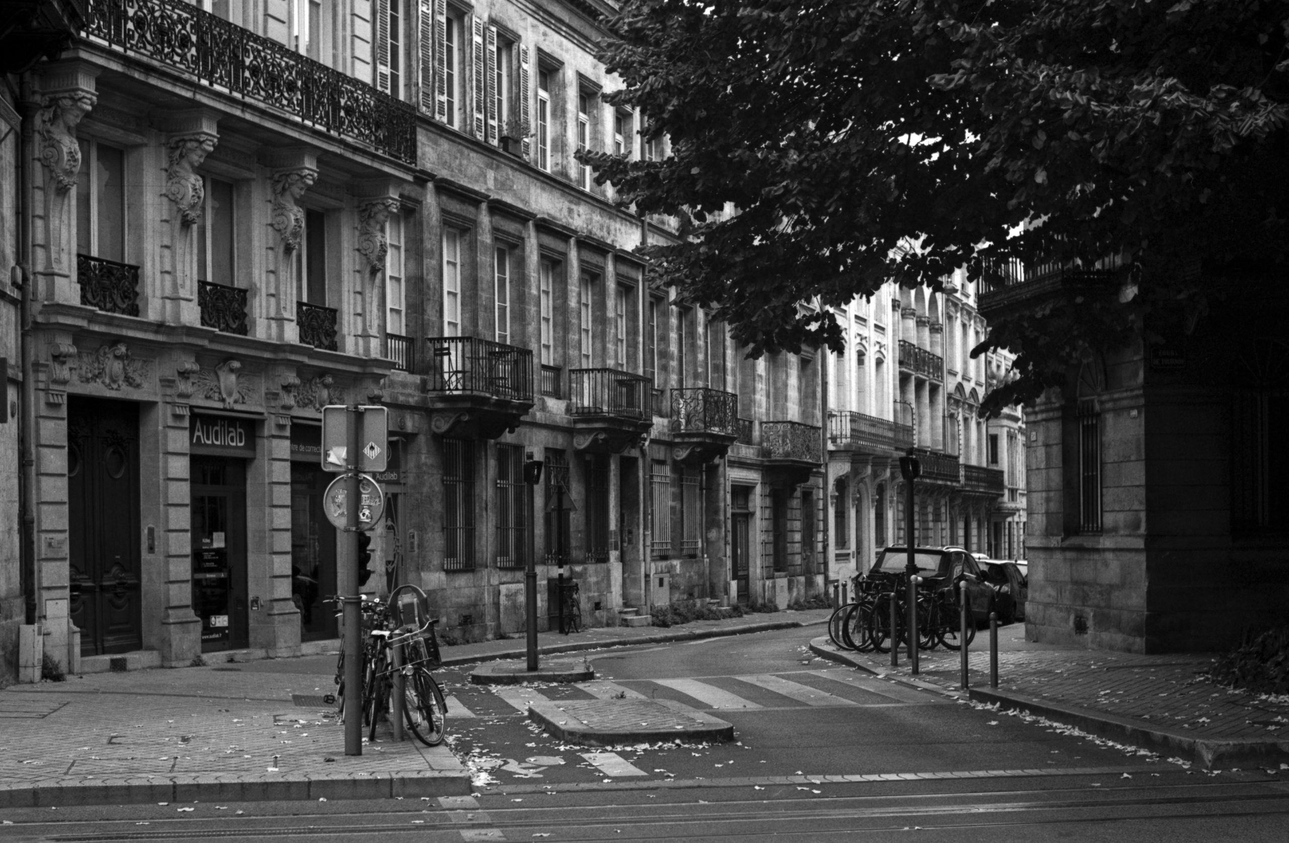 Jeffery Trilling Leica Monopan 50 review