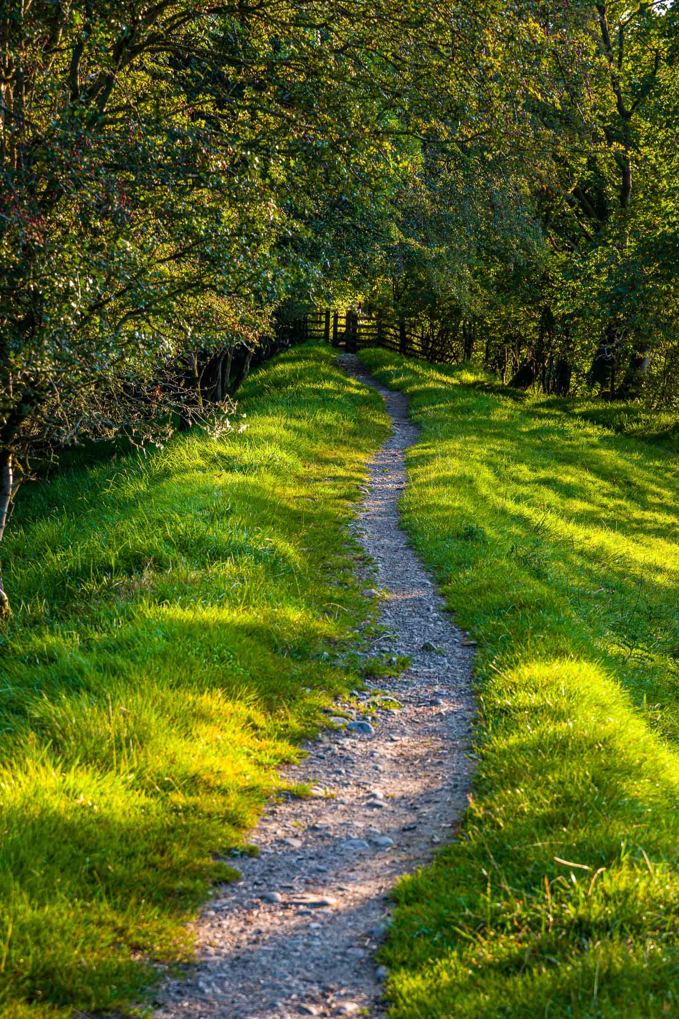 A winding gravel path bordered by lush green grass and trees, leading through a serene natural setting.