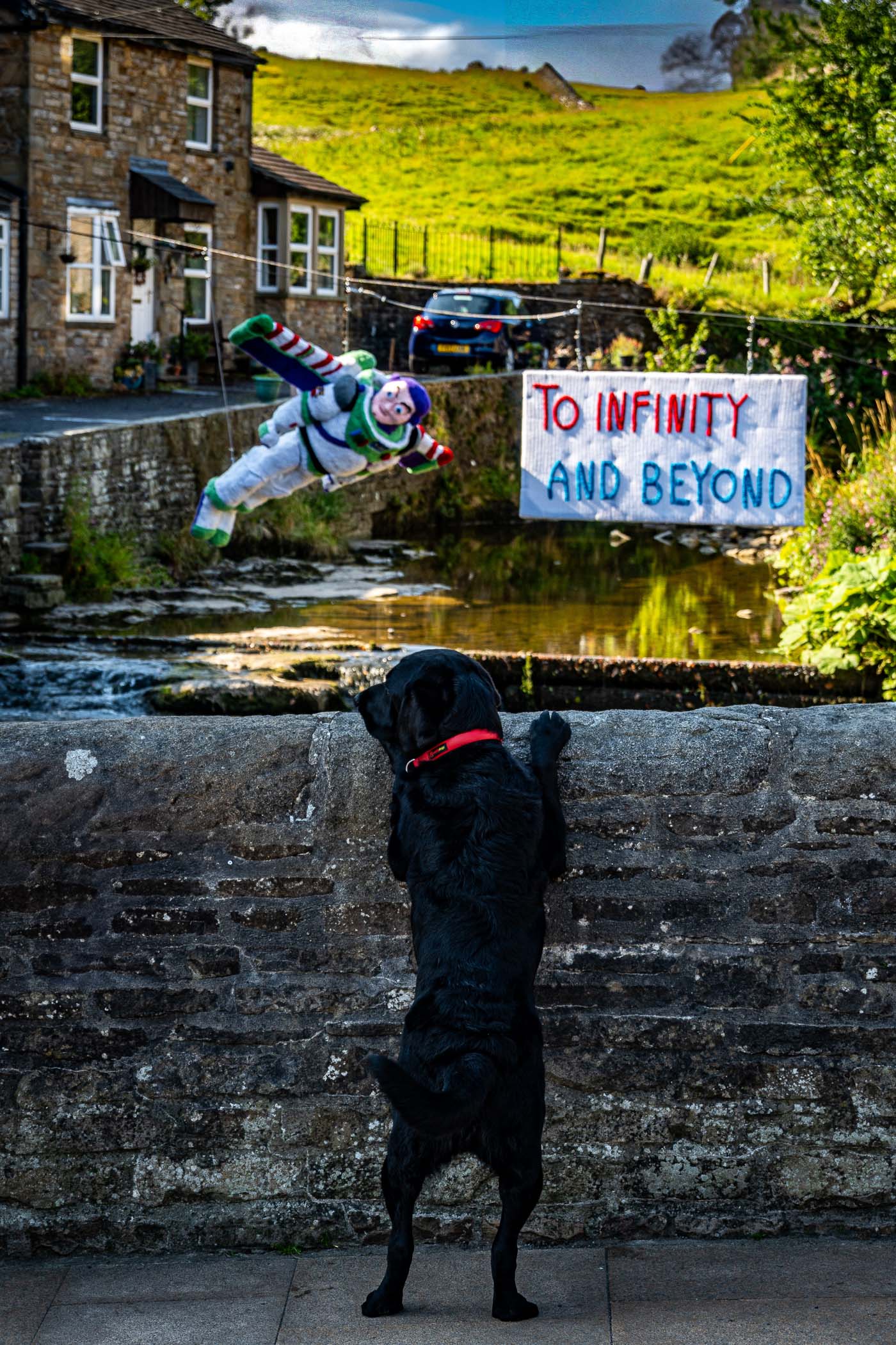 A playful scene featuring a black dog with a red collar looking over a stone wall at a colorful figure resembling Buzz Lightyear hanging above a stream, with a banner reading 'TO INFINITY AND BEYOND' in the background.
