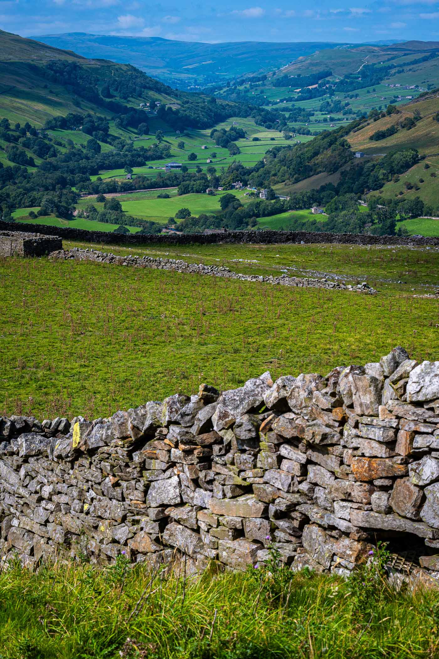 A picturesque view of the Yorkshire Dales, showcasing rolling green hills, stone walls, and a bright blue sky.