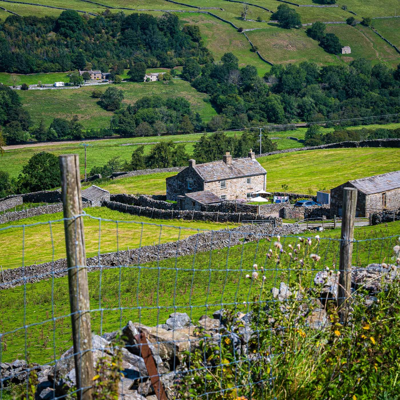 A scenic view of traditional stone houses surrounded by lush green fields and dry stone walls in the Yorkshire Dales.