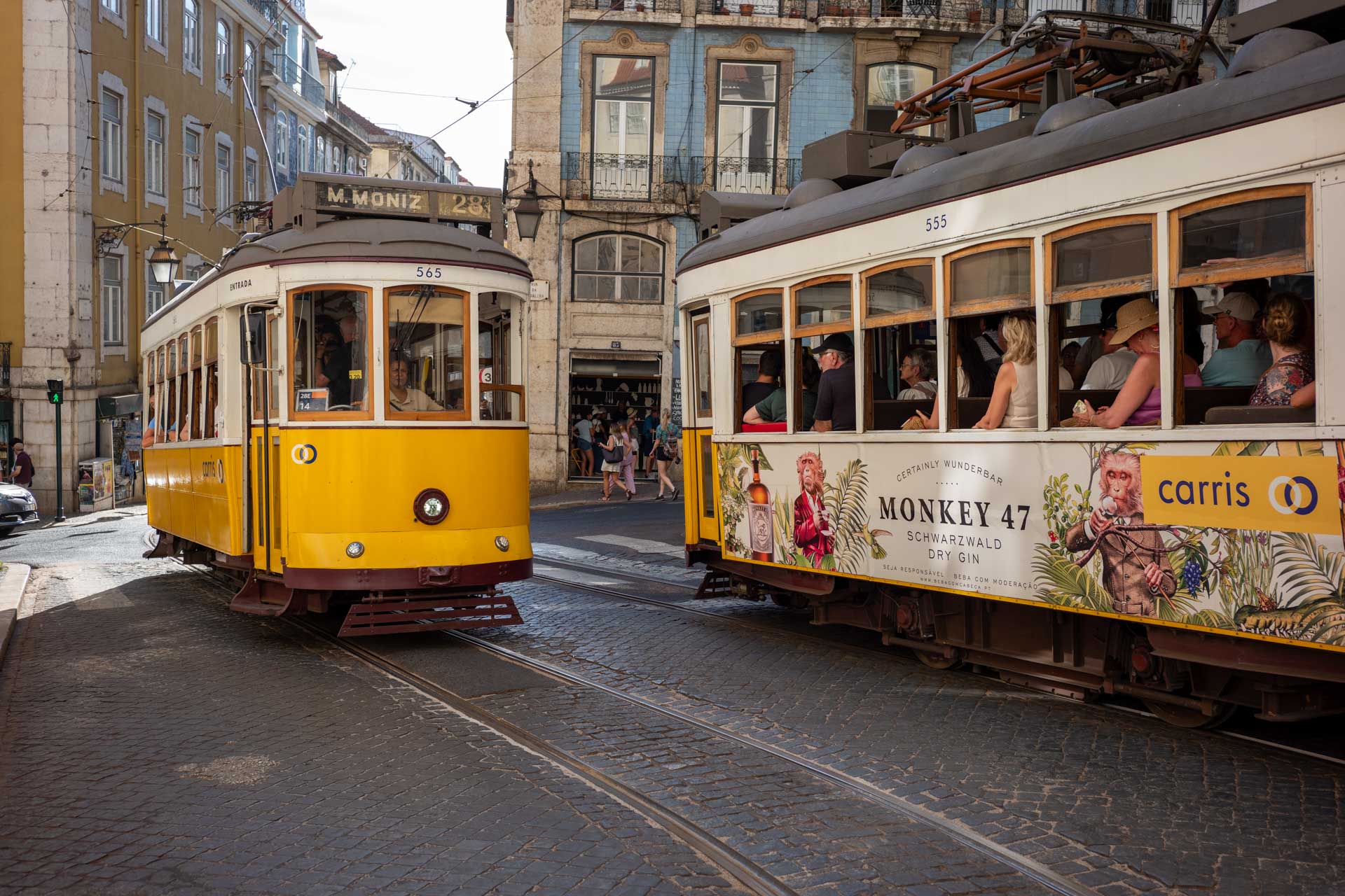 Sample image shows performance of Zeiss Biogon 35/2.8, member of the Zeiss ZM C lenses range.