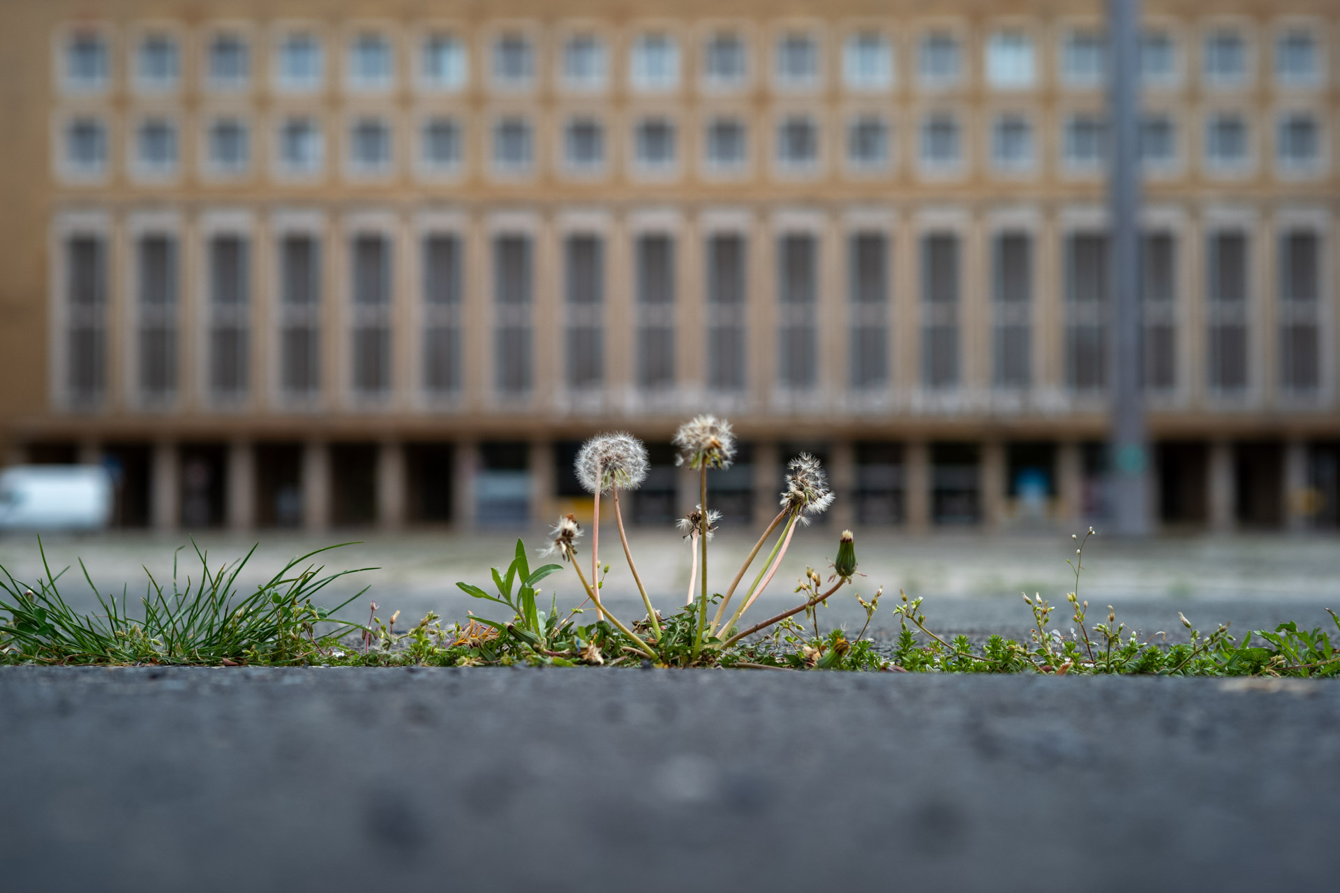 Sample image shows performance of Zeiss Sonnar 50/1.5, member of the Zeiss ZM C lenses range.