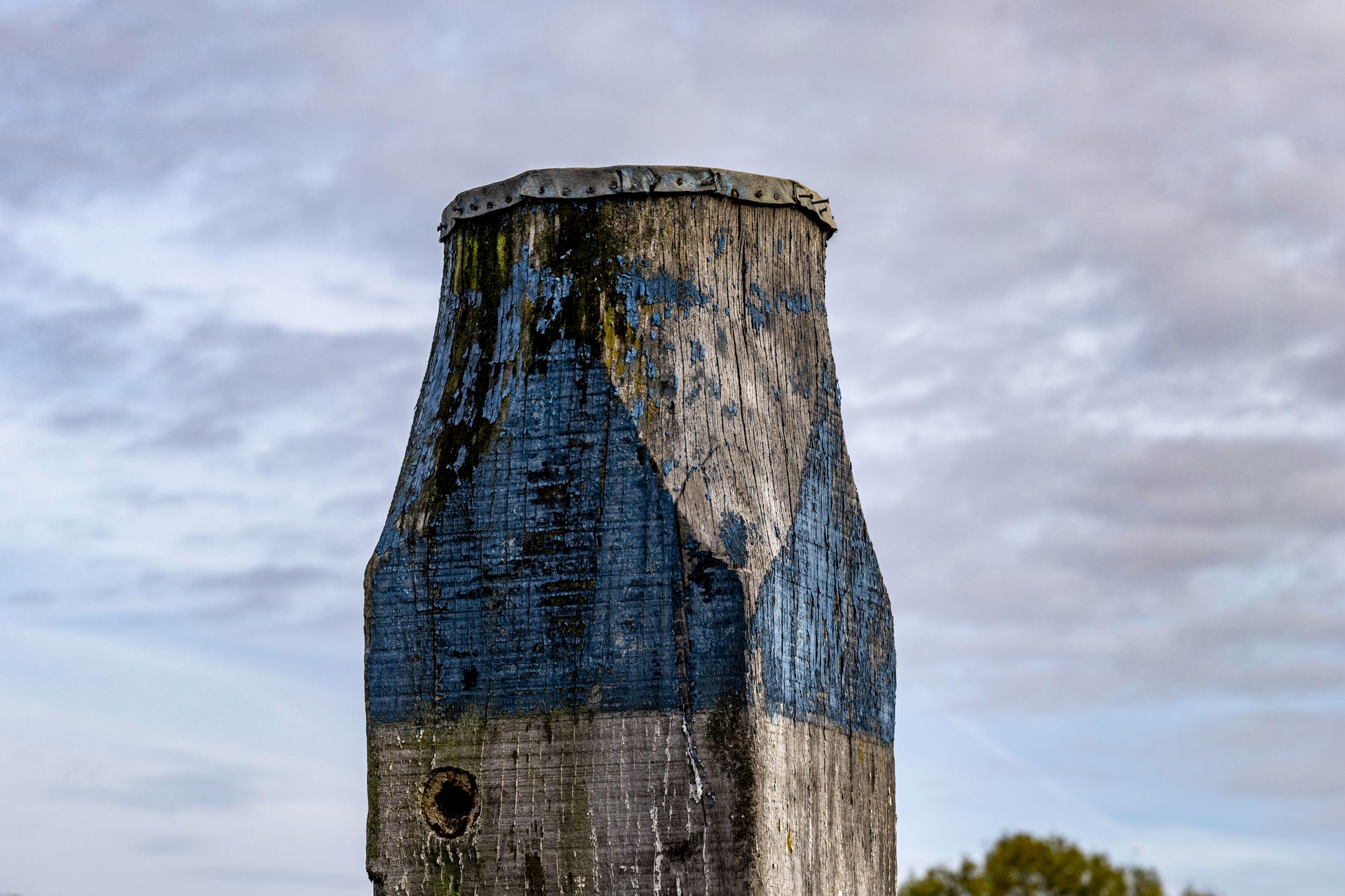 Leica 28-70 Vario-Elmarit f/2.8 test shots