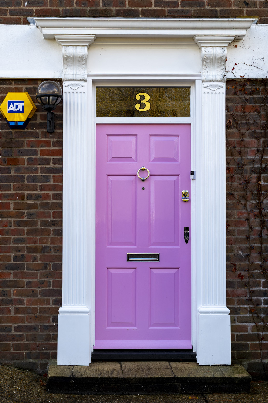 Sigma 28-70 f/2.8 test shots